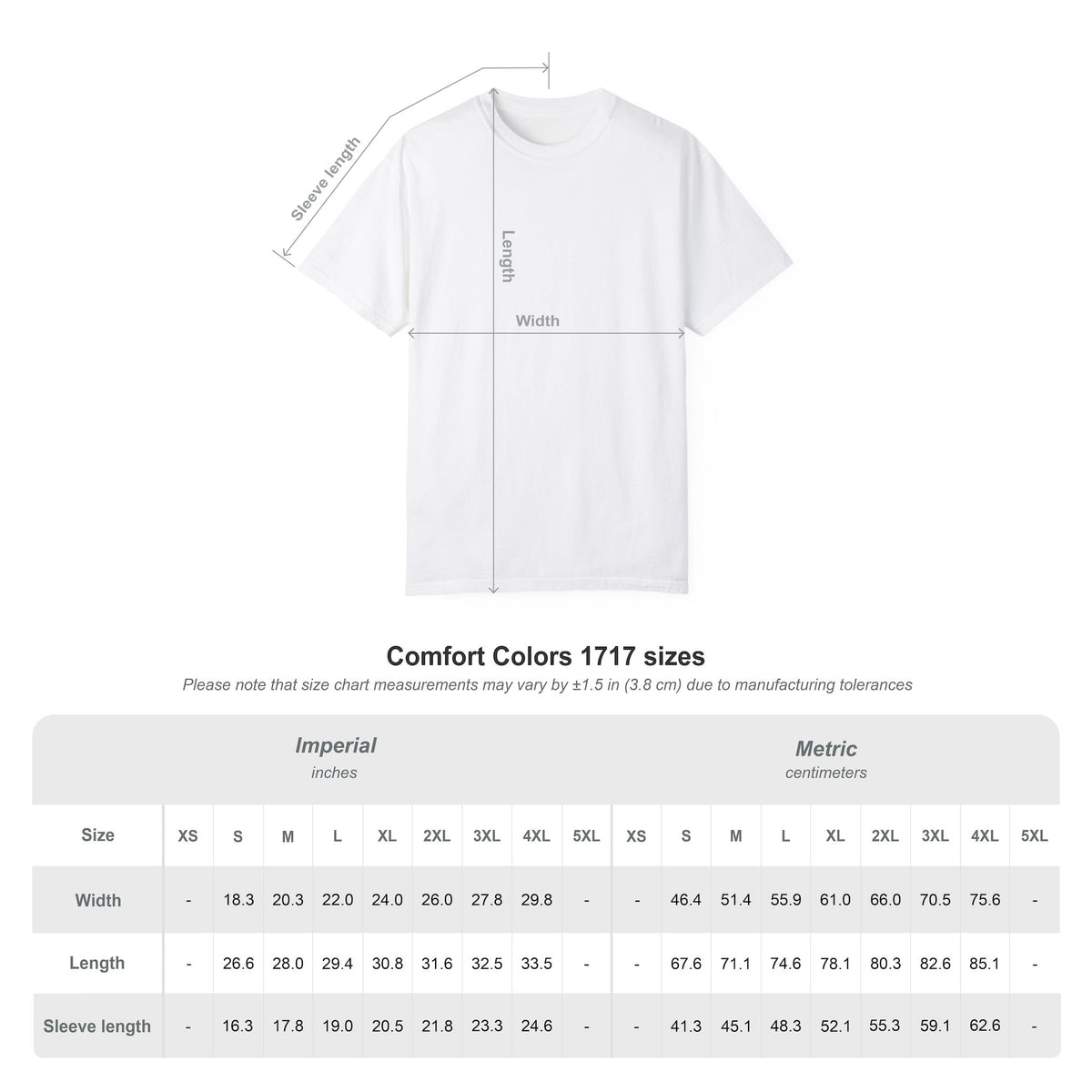 Model wearing the Receipts Over Rumors Comfort Colors relaxed-fit statement tee